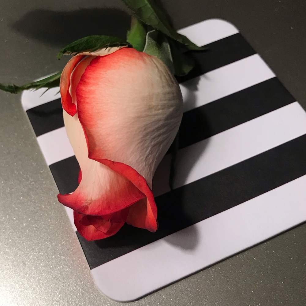 Meet your Posher, Q.